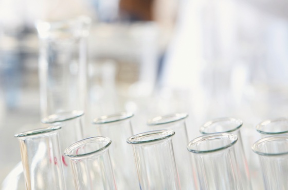 Header SCS Fall Meeting 2024