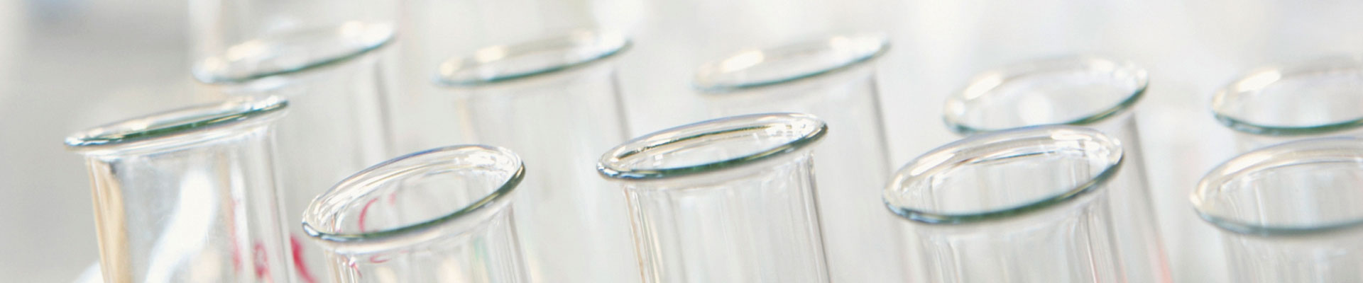 Header SCS Fall Meeting 2024